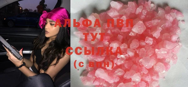 индика Козельск