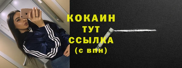 гидропоника Коряжма