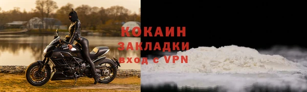 индика Козельск