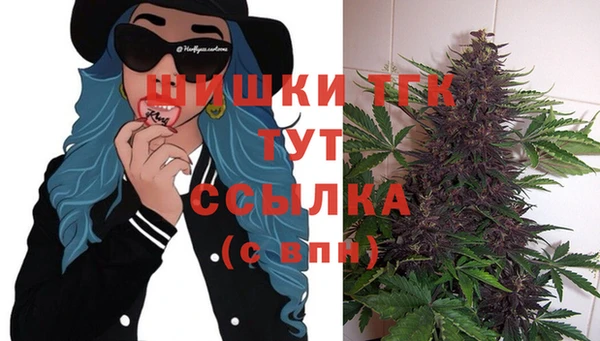 твердый Костерёво