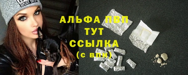 ГАЛЛЮЦИНОГЕННЫЕ ГРИБЫ Кодинск