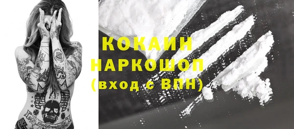 гидропоника Коряжма