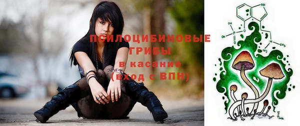 гидропоника Коряжма