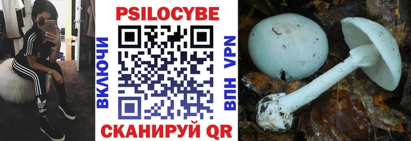 Галлюциногенные грибы мухоморы  Чаплыгин 